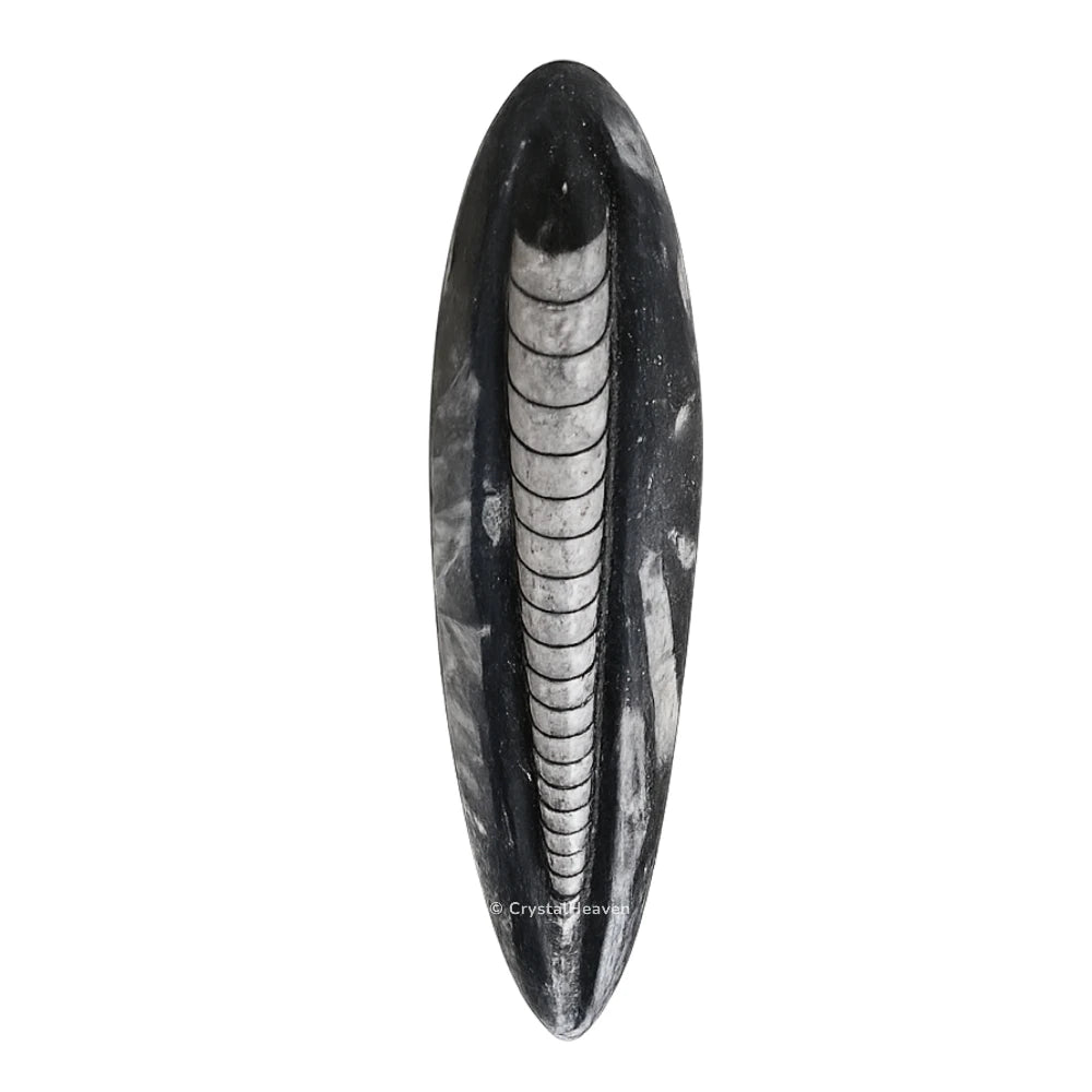 Kuber Stone To Heal Financial Issues (3-4 Inch)