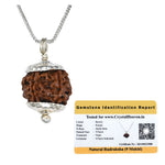 9 Mukhi Rudraksha Pendant (Silver)