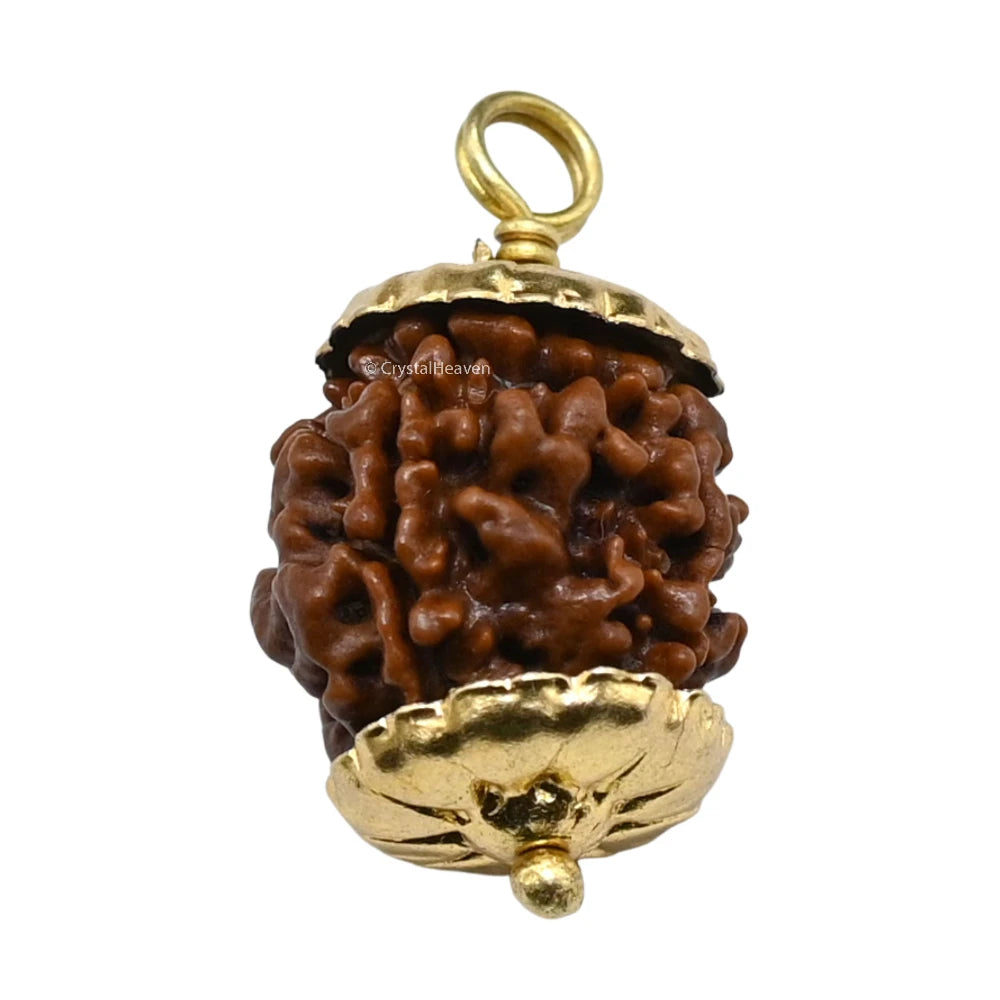 4 Mukhi Rudraksha Pendant (Gold)