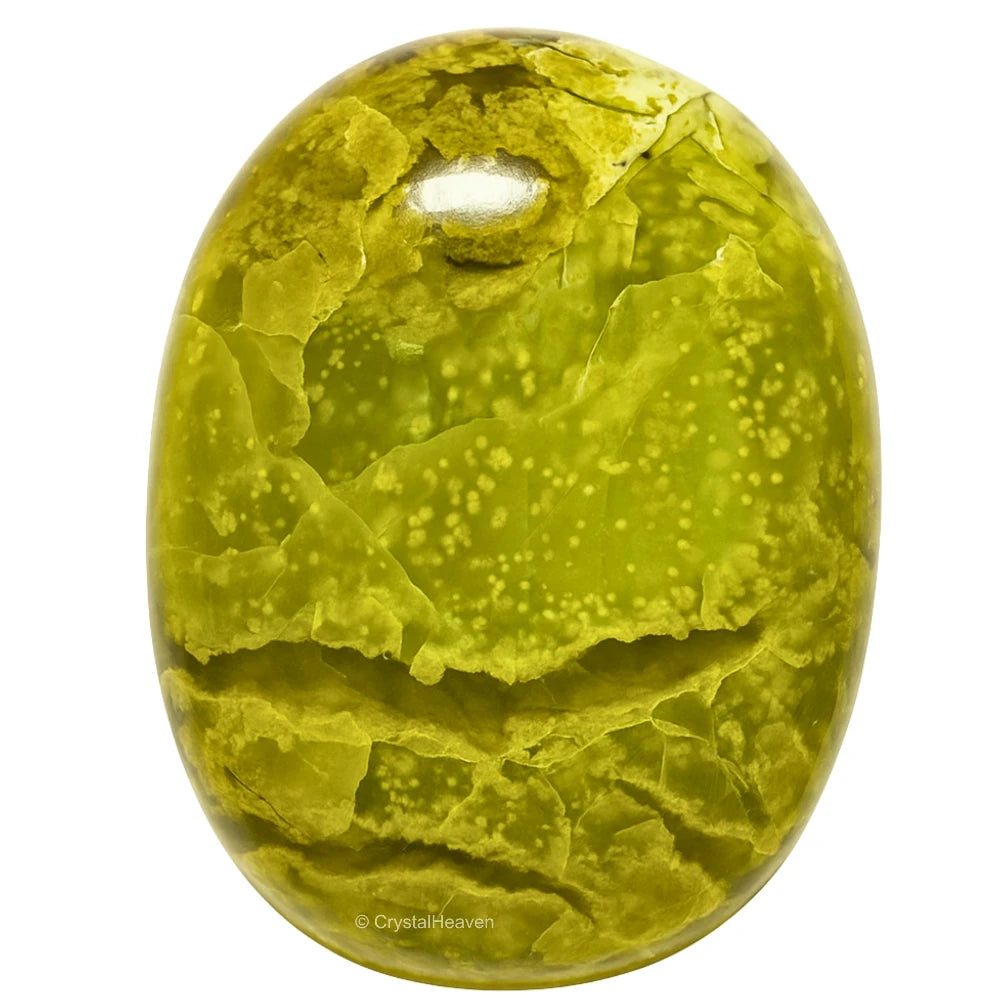 Green Opal Palm Stone