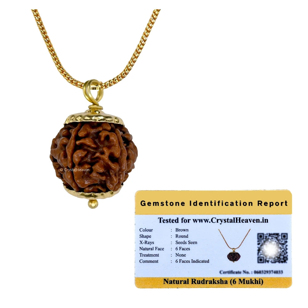 6 Mukhi Rudraksha Pendant (Gold)