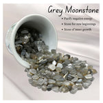Grey Moonstone Chips - Pre Drilled