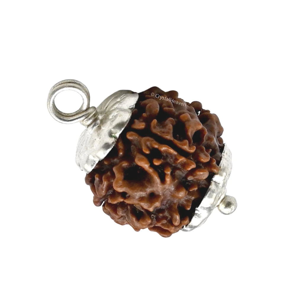 4 Mukhi Rudraksha Pendant (Silver)