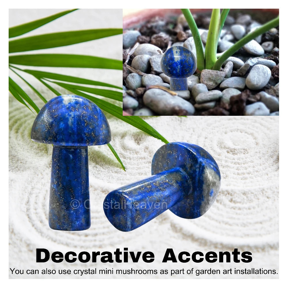 Lapis Lazuli Mushroom