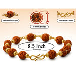 8mm Rudraksha Bracelet (Gold Chain)