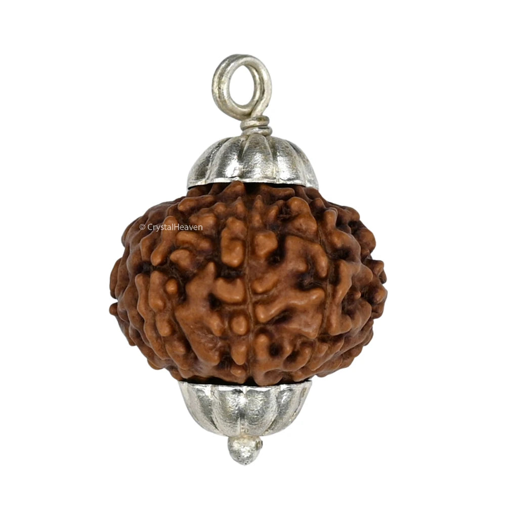 9 Mukhi Rudraksha Pendant (Silver)