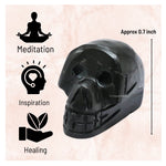 Shungite Skull