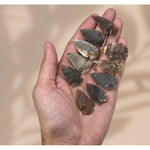 Fancy Jasper Arrowhead - 1" to 1.5" (20 Pieces)