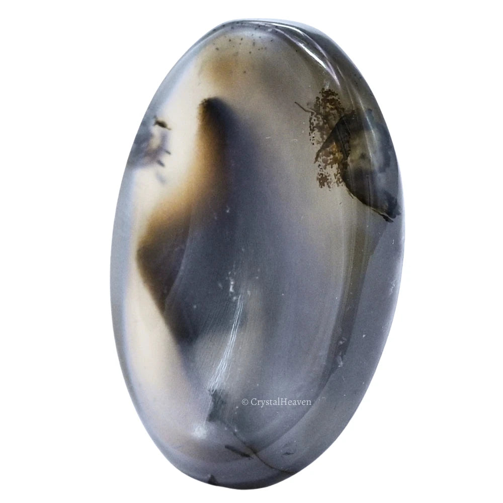 Dendrite Agate Worry Stone