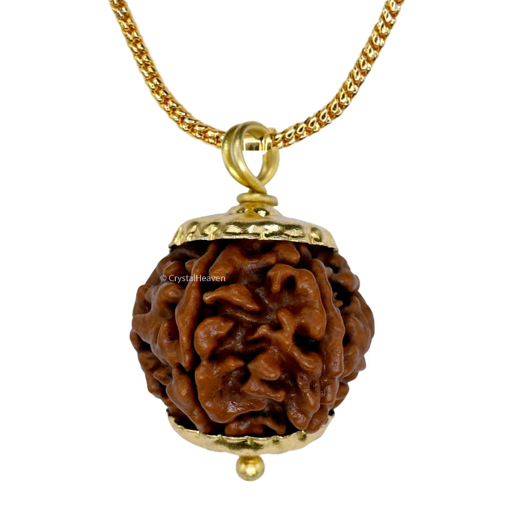 6 Mukhi Rudraksha Pendant (Gold)