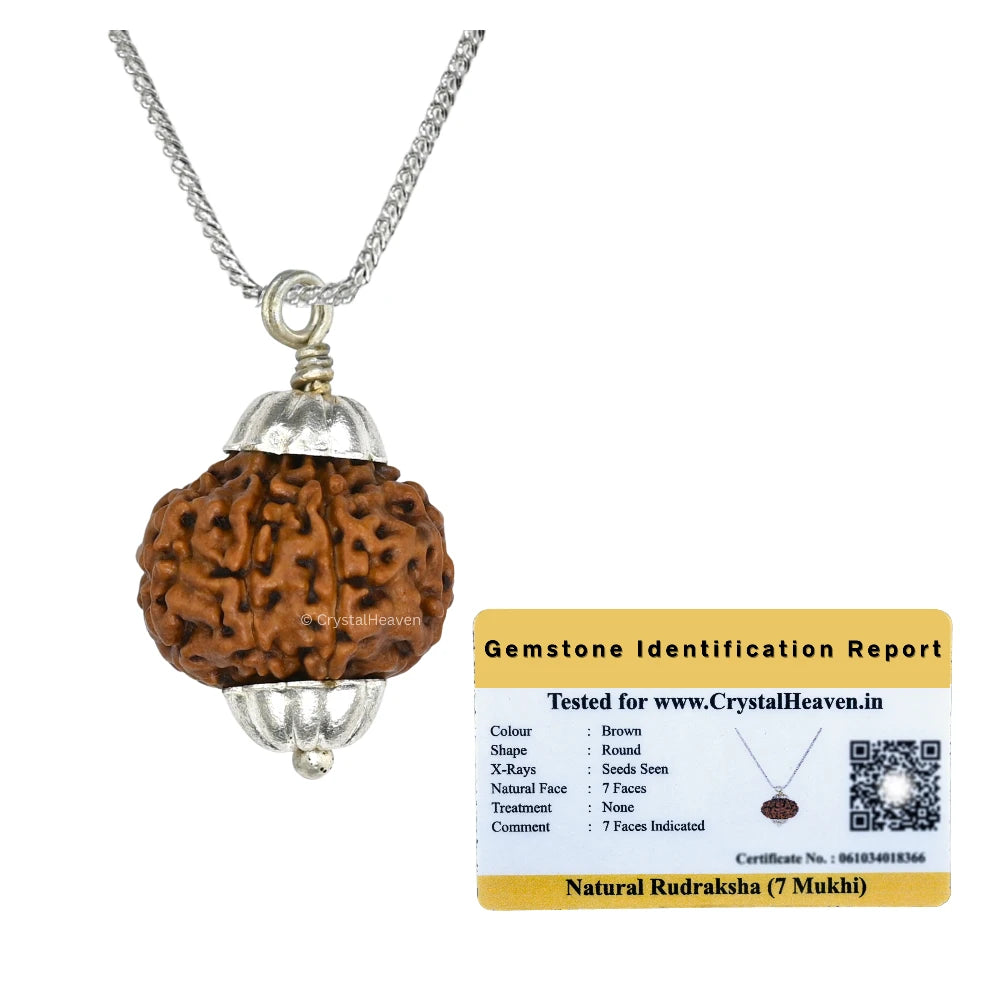 7 Mukhi Rudraksha Pendant (Silver)