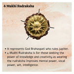 4 Mukhi Rudraksha Pendant (Gold)