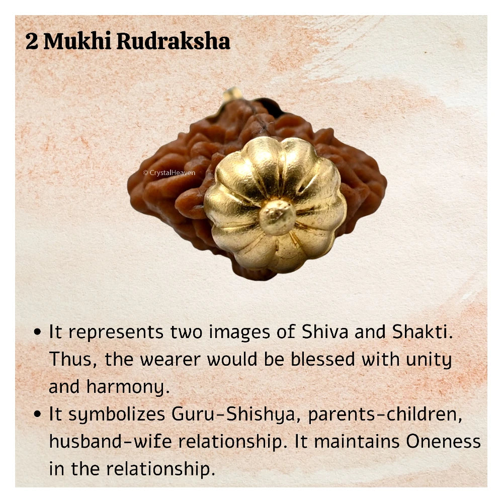 2 Mukhi Rudraksha Pendant (Gold)