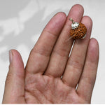 8 Mukhi Rudraksha Pendant (Silver)
