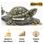 Natural Pyrite Tortoise Kachhua (5.5 Inch)