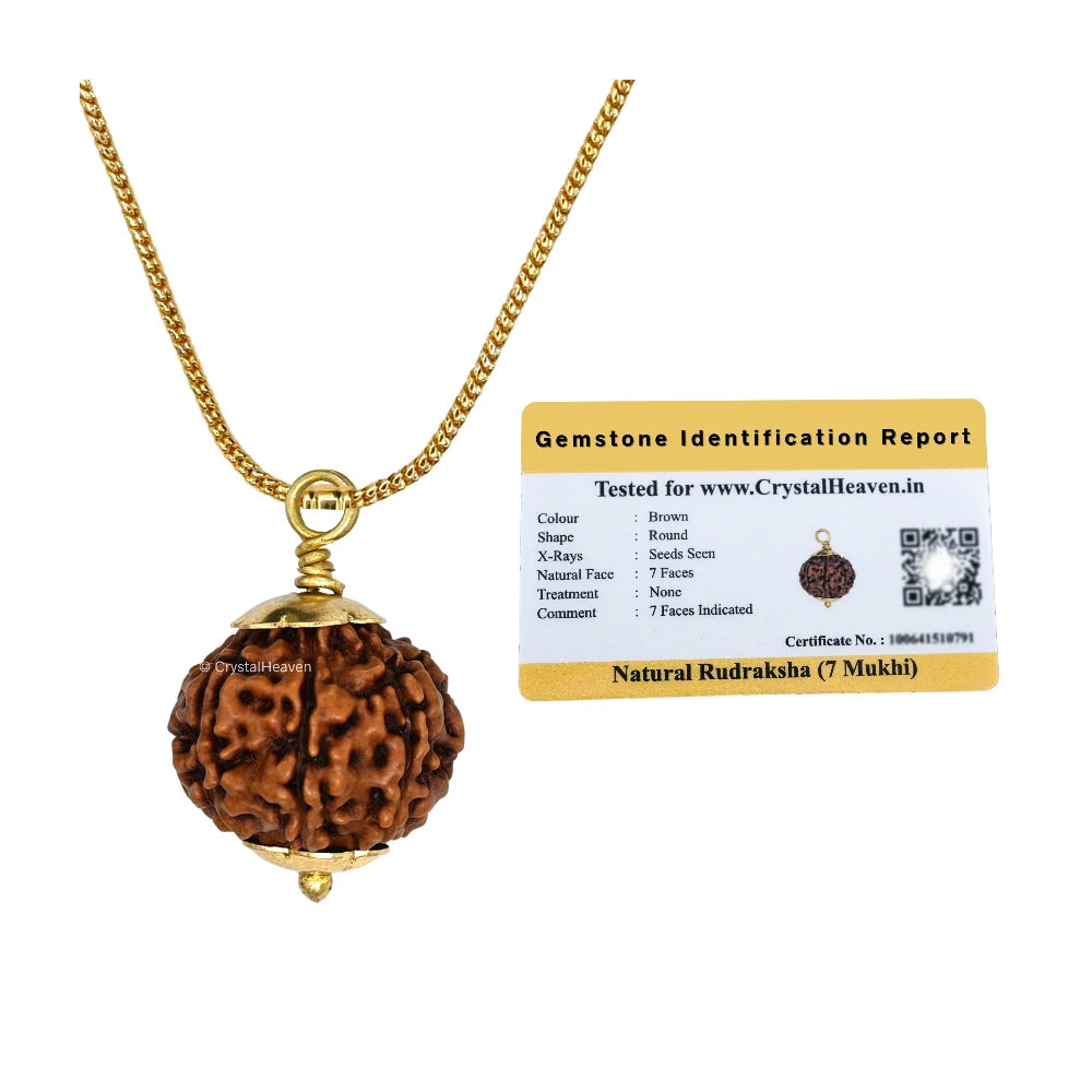 7 Mukhi Rudraksha Pendant (Gold)