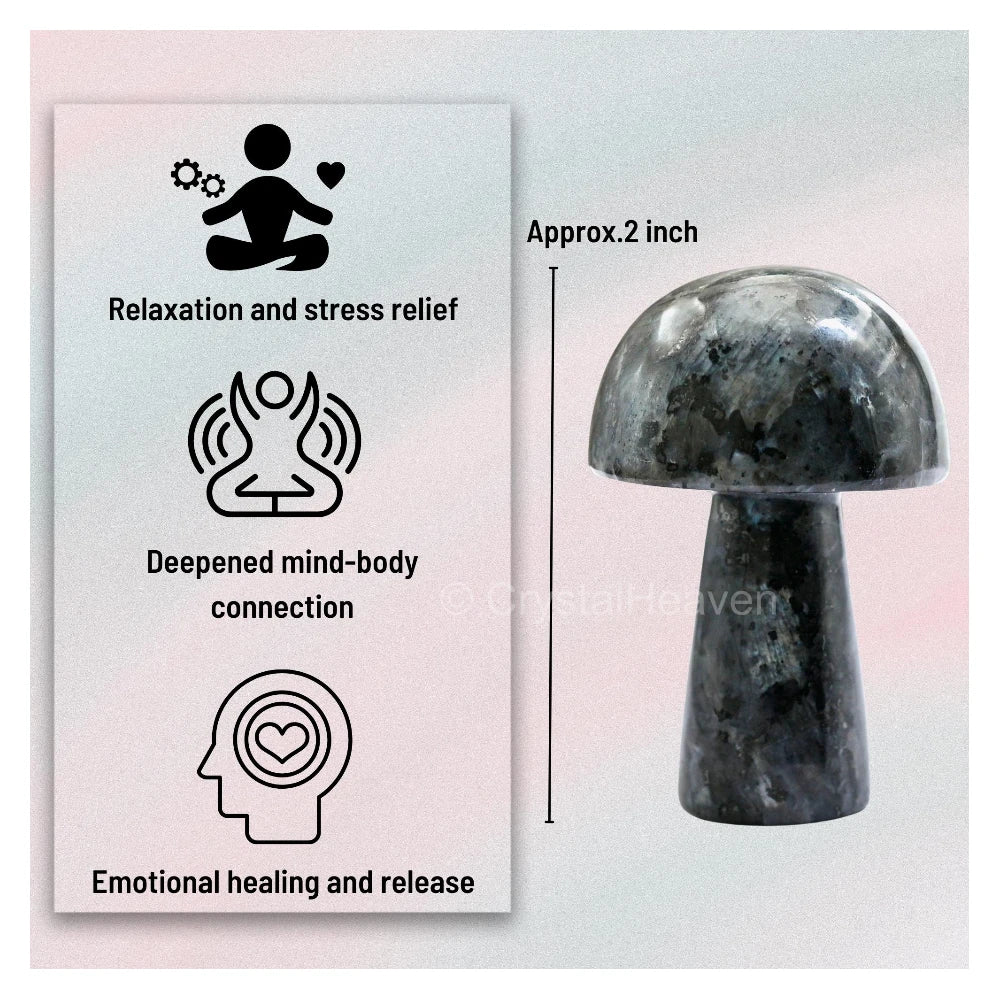 Larvikite Mushroom