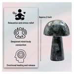 Larvikite Mushroom