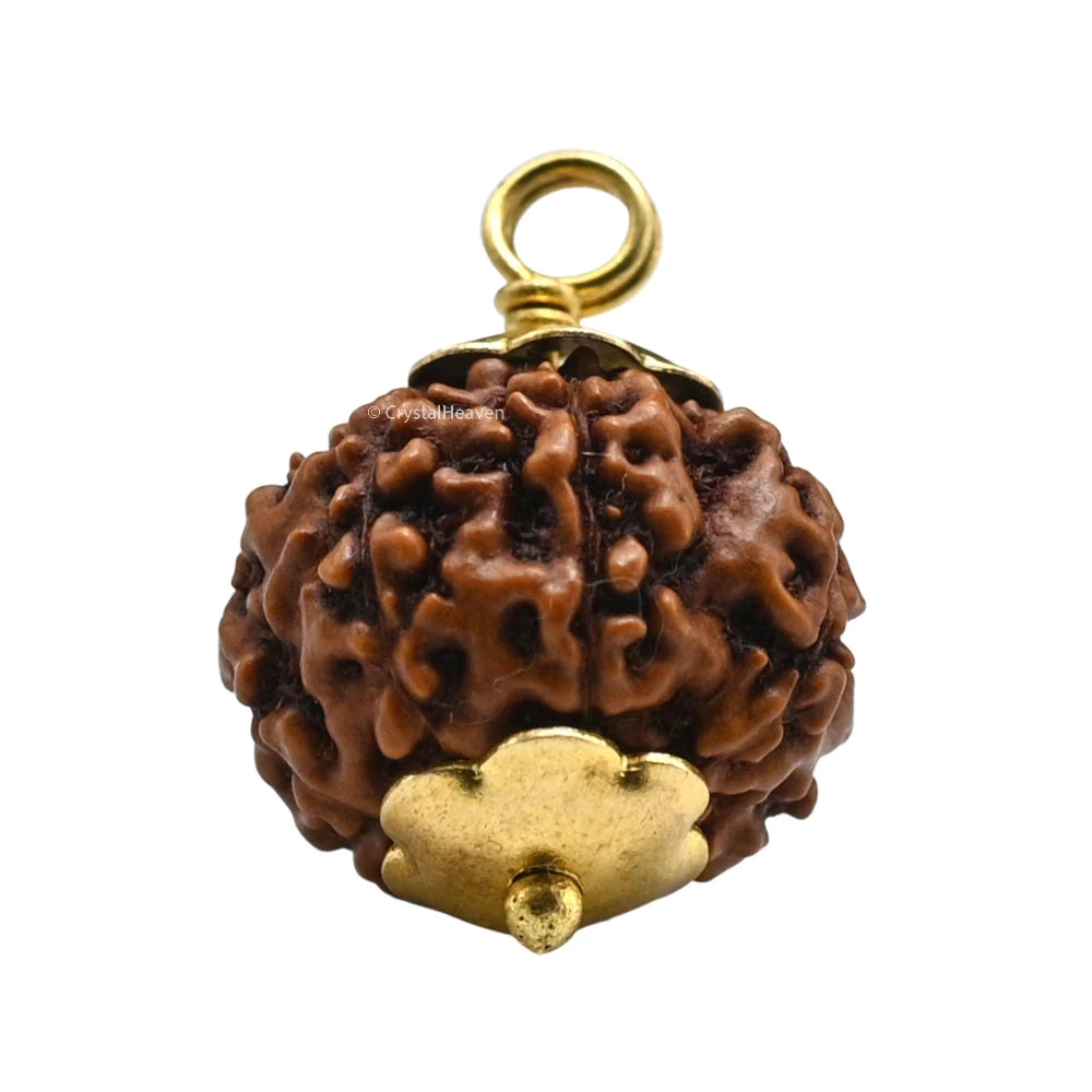 7 Mukhi Rudraksha Pendant (Gold)