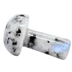Rainbow Moonstone Mushroom