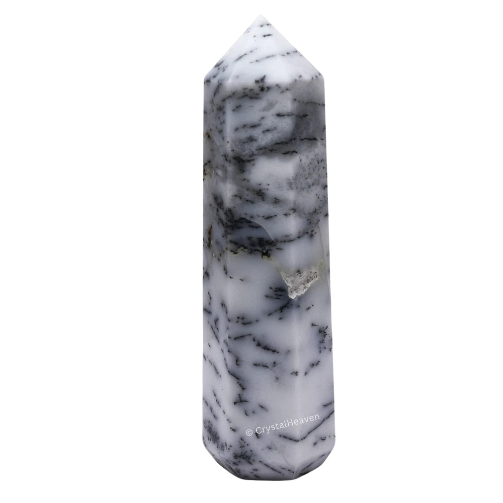 Large Dendrite Opal Tower