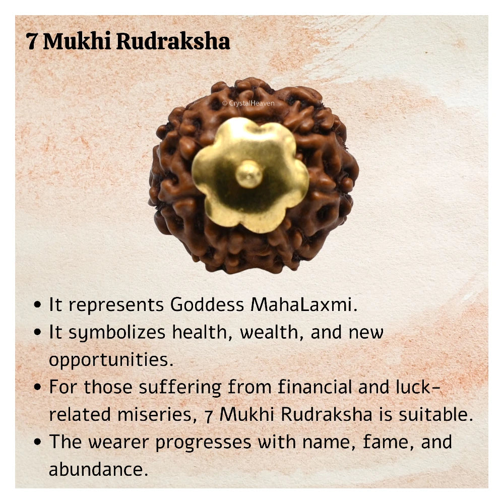 7 Mukhi Rudraksha Pendant (Gold)