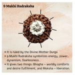 9 Mukhi Rudraksha Pendant (Silver)