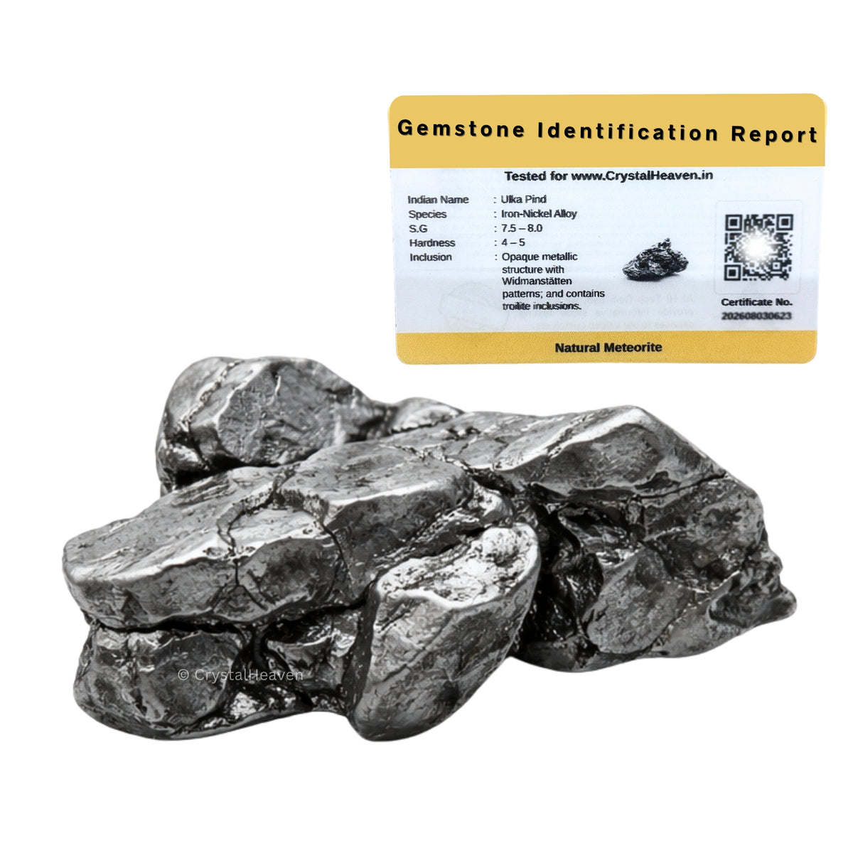 Meteorite Specimen - Campo del Cielo