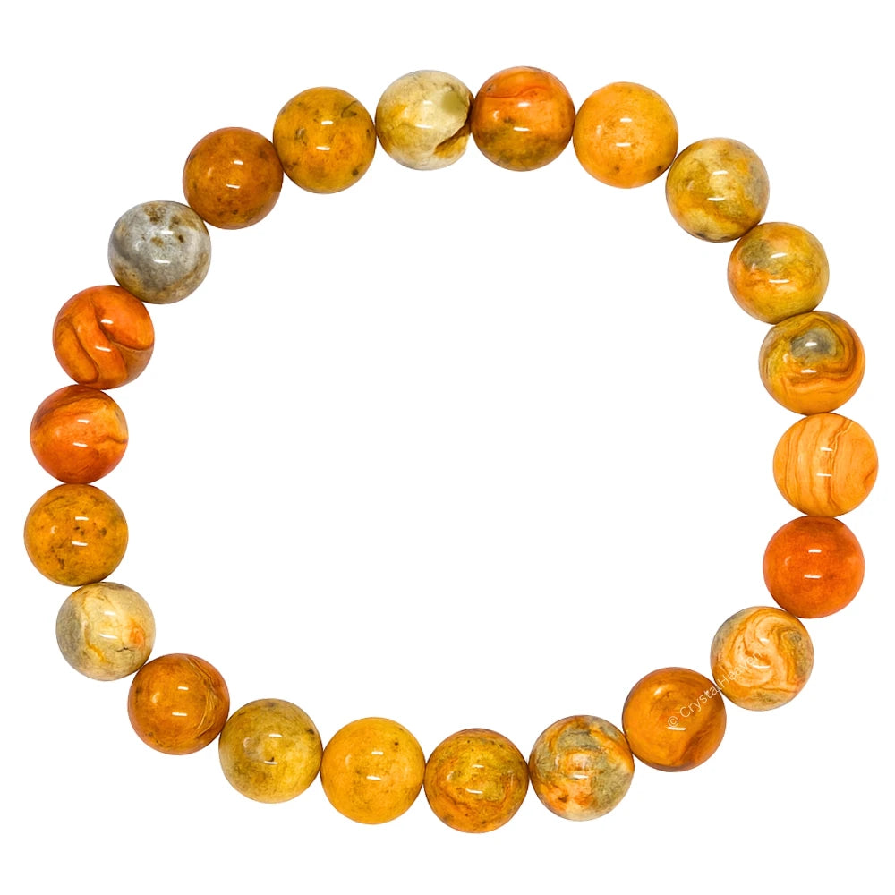 Crazy Lace Agate Bracelet (Elastic)