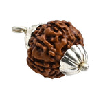 7 Mukhi Rudraksha Pendant (Silver)