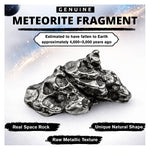 Meteorite Specimen - Campo del Cielo