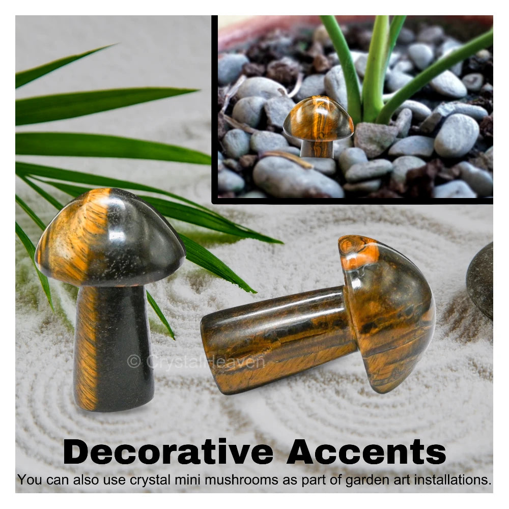 Tiger Eye Mushroom