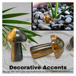 Tiger Eye Mushroom
