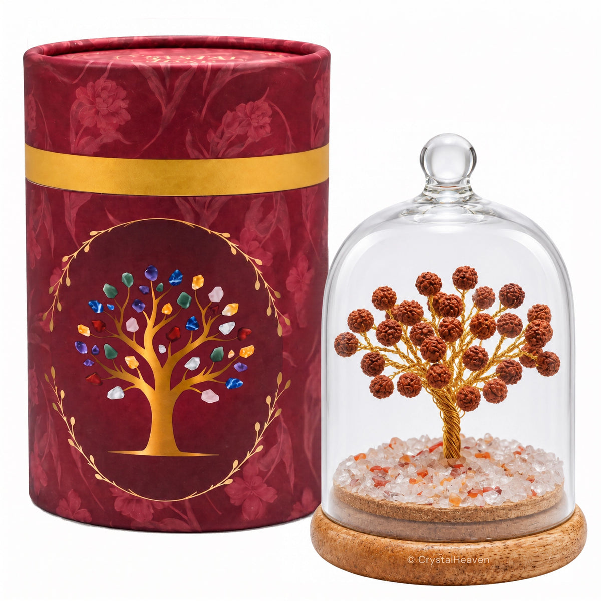Rudraksha Tree (Dome Style)