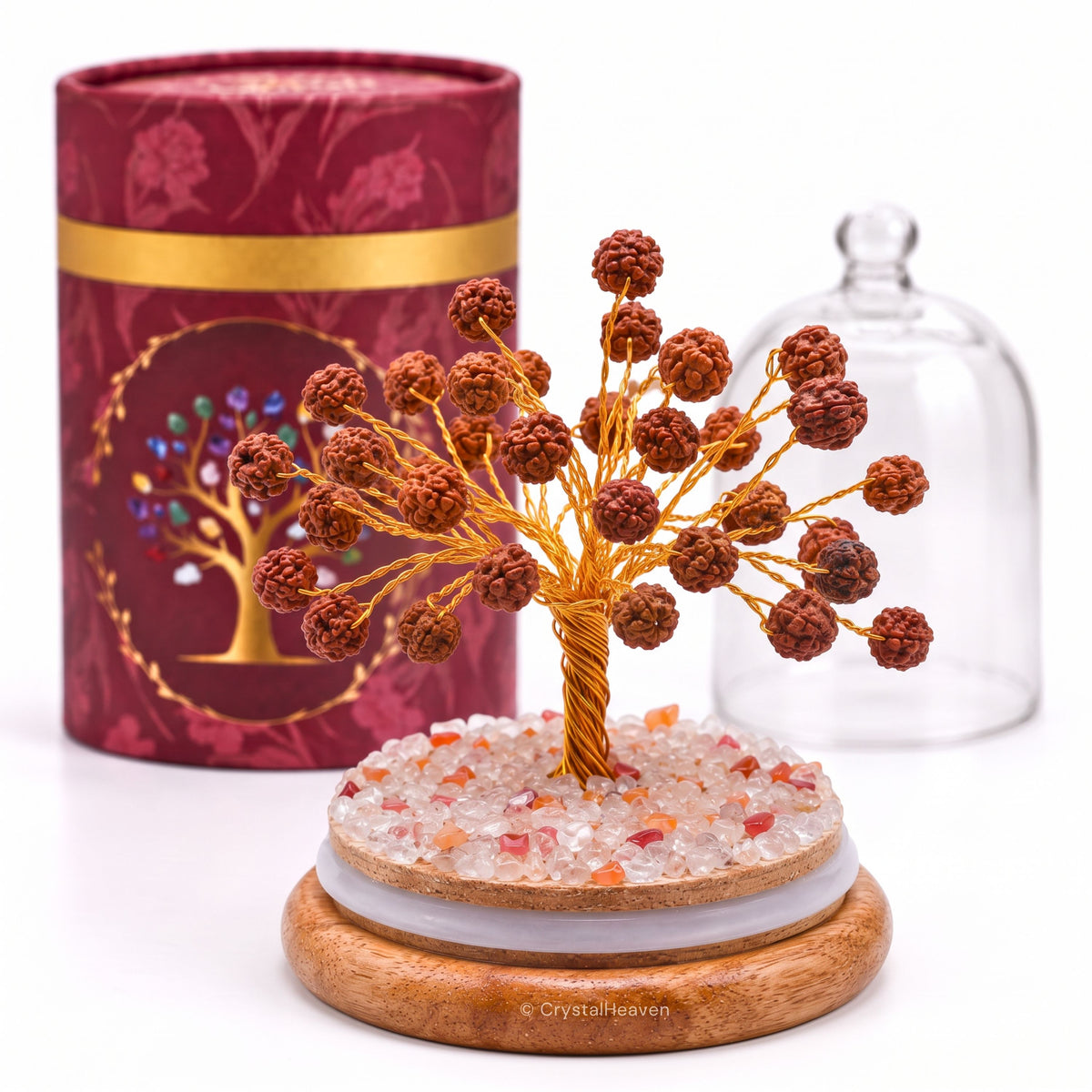 Rudraksha Tree (Dome Style)