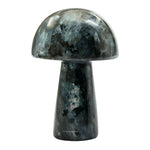Larvikite Mushroom