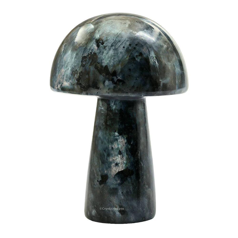 Larvikite Mushroom