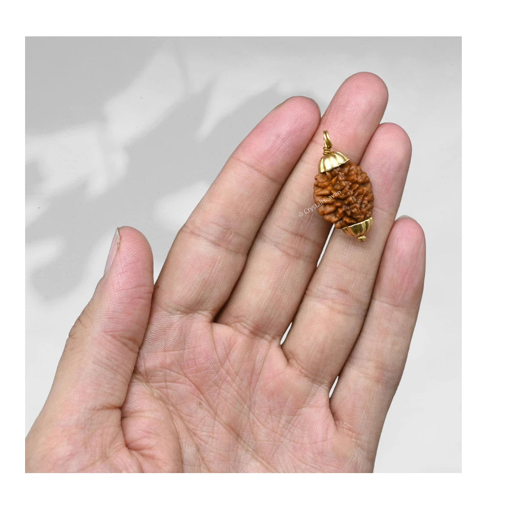 2 Mukhi Rudraksha Pendant (Gold)