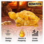 Yellow Jasper Tortoise Kachhua