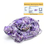 Amethyst Tortoise Kachhua