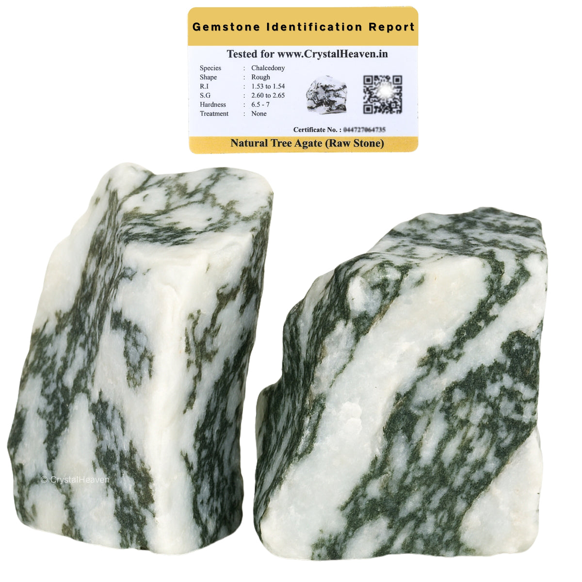 Raw Tree Agate Crystals (1 Piece)