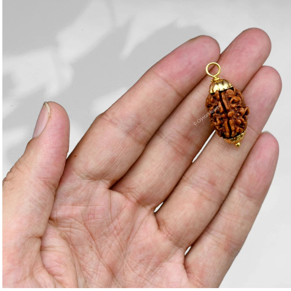 3 Mukhi Rudraksha Pendant (Gold)