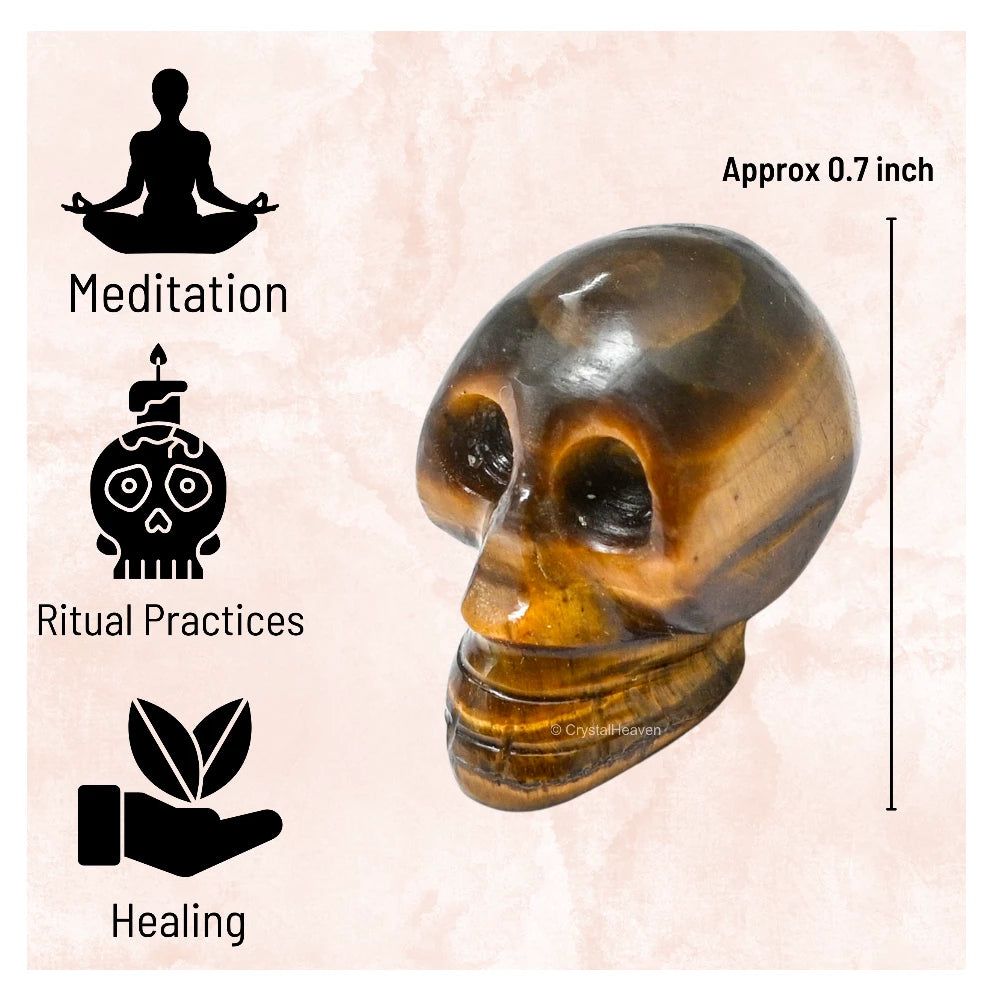 Tiger Eye Skull