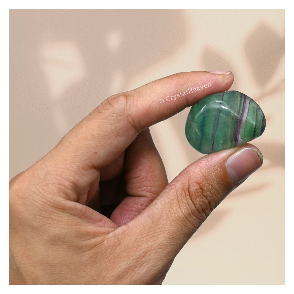 Tumbled Fluorite Stones (30 Gram)