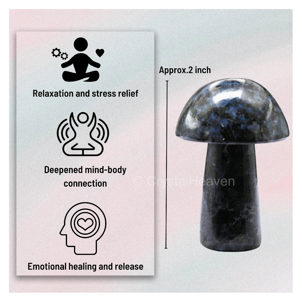 Indigo Gabbro Mushroom