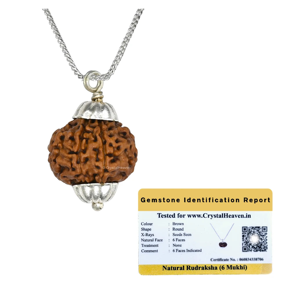 6 Mukhi Rudraksha Pendant (Silver)