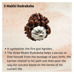 3 Mukhi Rudraksha Pendant (Silver)
