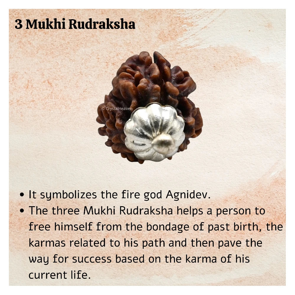 3 Mukhi Rudraksha Pendant (Silver)