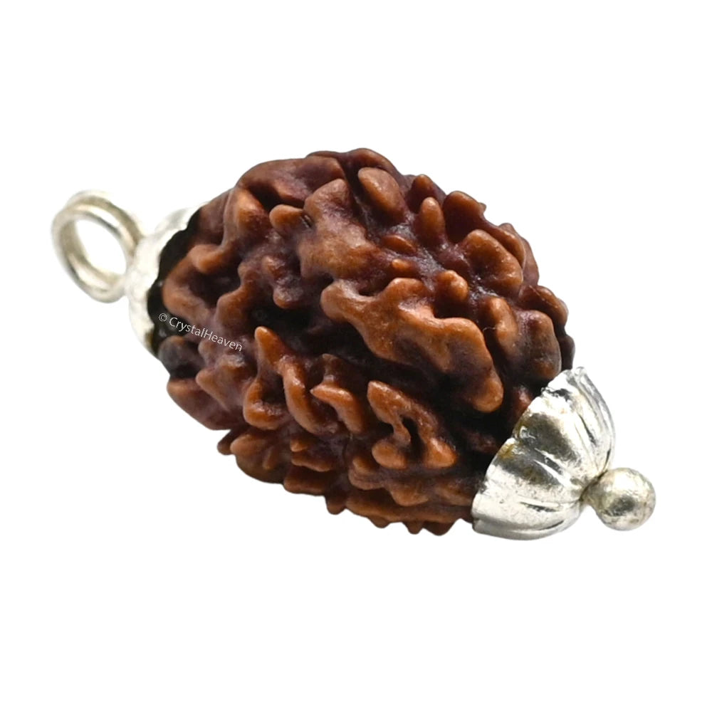 3 Mukhi Rudraksha Pendant (Silver)