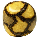 Tumbled Septarian Stones (30 Gram)